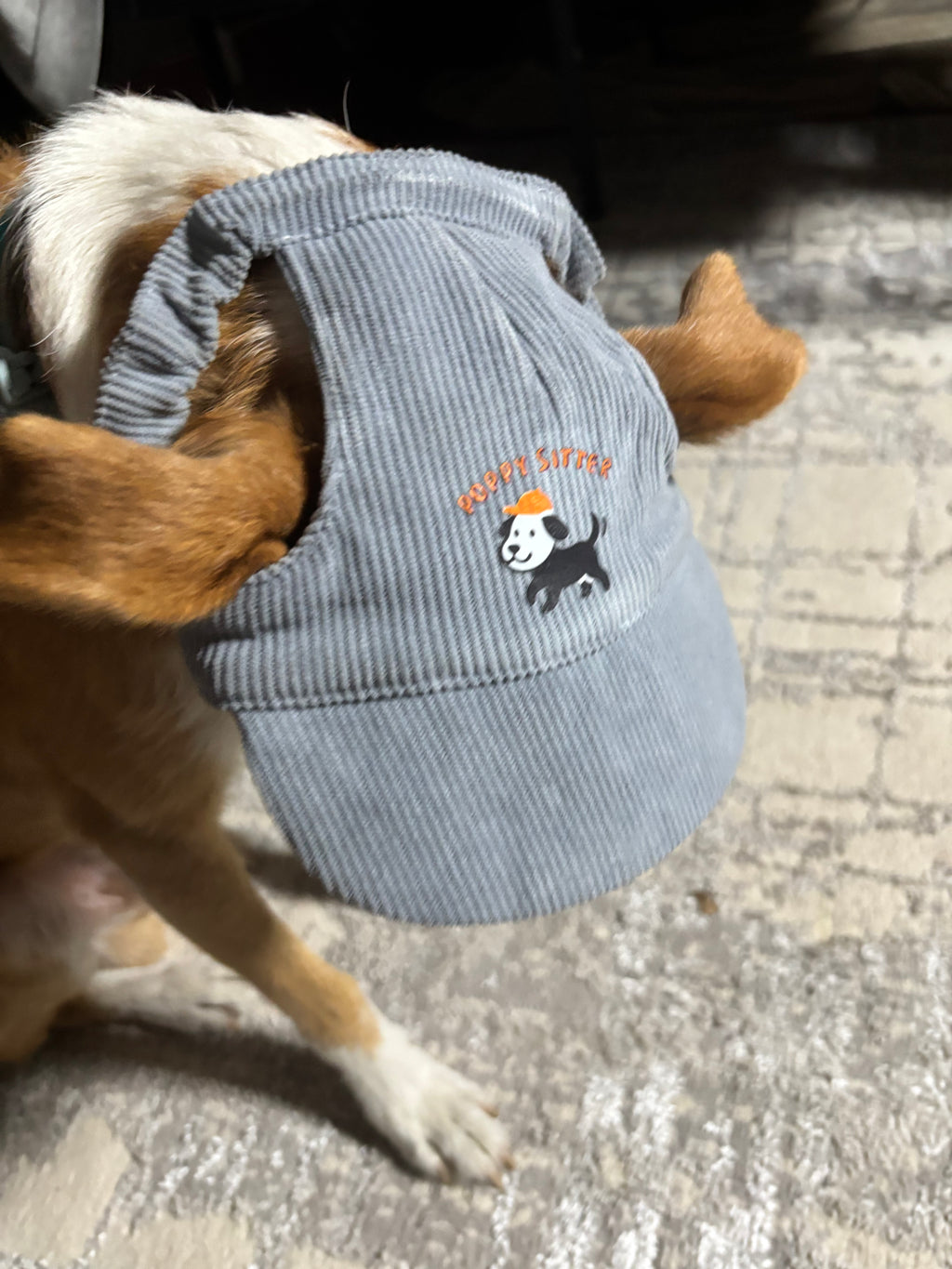 Cord-Sonnenmütze für Hunde
