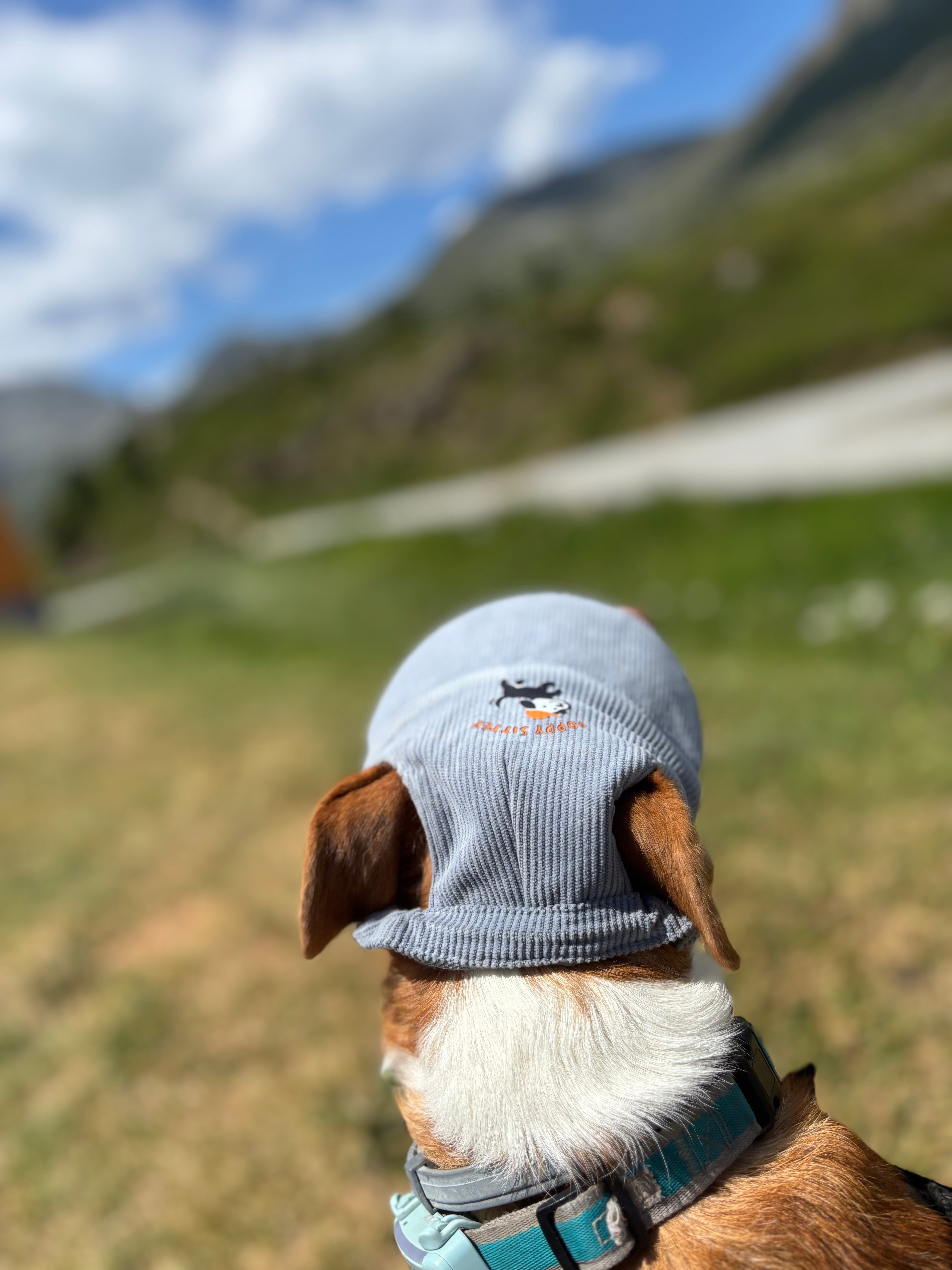 Cord-Sonnenmütze für Hunde