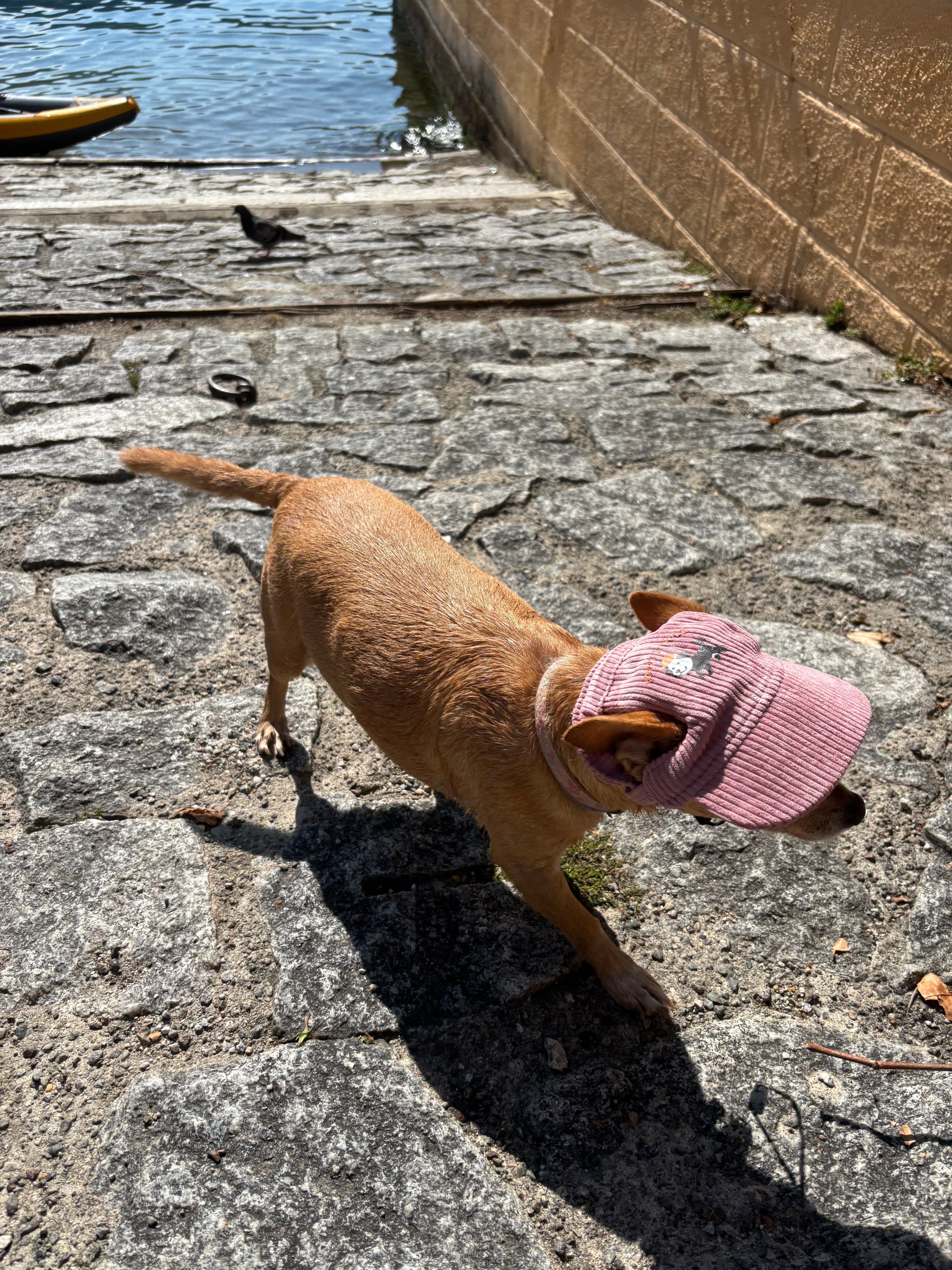 Cord-Sonnenmütze für Hunde
