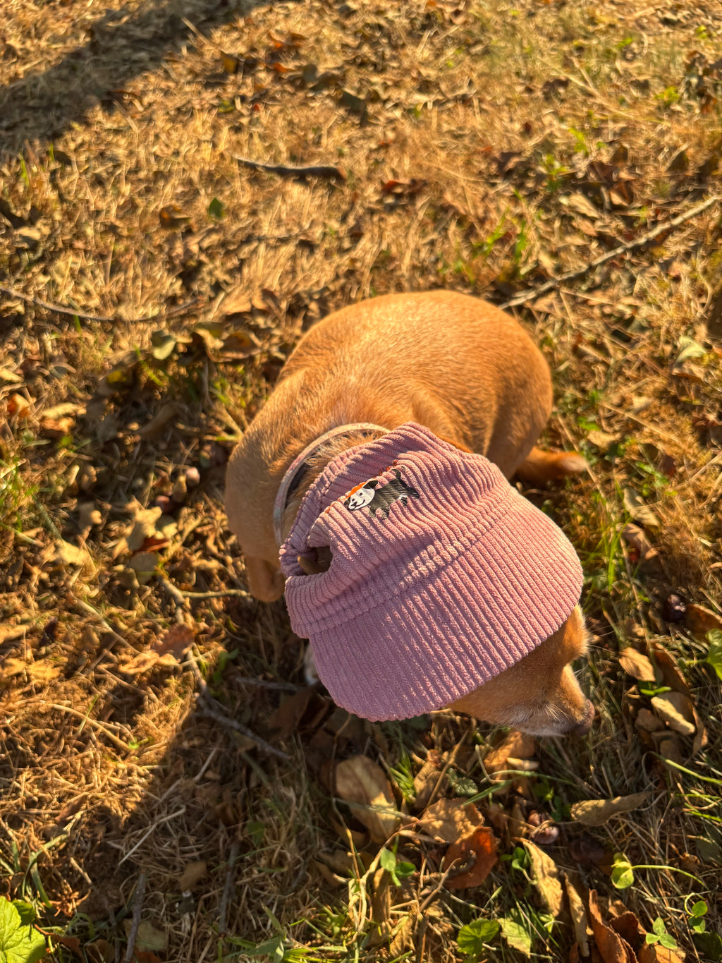 Cord-Sonnenmütze für Hunde