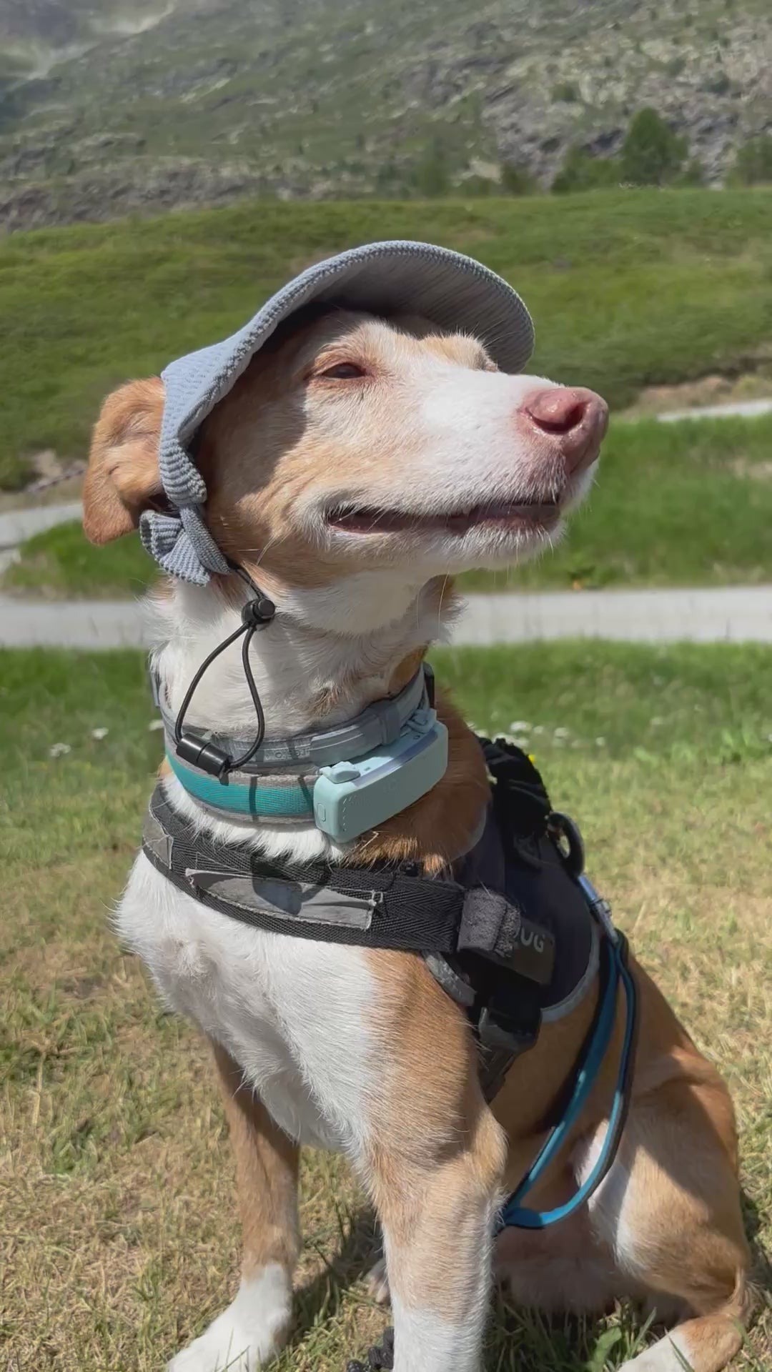 Cord-Sonnenmütze für Hunde