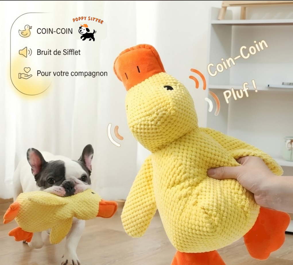 Peluche Canard "Coin-Coin" pour chien